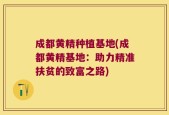 成都黄精种植基地(成都黄精基地：助力精准扶贫的致富之路)