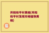 开阳和平村黄精(开阳和平村发现珍稀植物黄精)