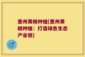 惠州黄精种植(惠州黄精种植：打造绿色生态产业链)