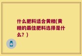 什么肥料适合黄精(黄精的最佳肥料选择是什么？)