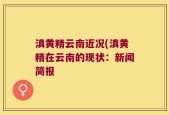 滇黄精云南近况(滇黄精在云南的现状：新闻简报