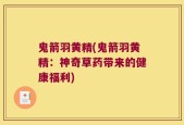 鬼箭羽黄精(鬼箭羽黄精：神奇草药带来的健康福利)