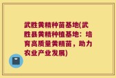 武胜黄精种苗基地(武胜县黄精种植基地：培育高质量黄精苗，助力农业产业发展)