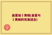 桑葚加矷黄精(桑葚与矷黄精的完美结合)