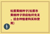 松原黄精种子(松原市黄精种子供应始终充足，适合种植者购买和使用)