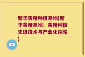 新华黄精种植基地(新华黄精基地：黄精种植先进技术与产业化探索)