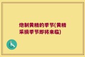 炮制黄精的季节(黄精采摘季节即将来临)