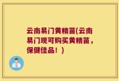 云南易门黄精苗(云南易门现可购买黄精苗，保健佳品！)