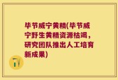毕节威宁黄精(毕节威宁野生黄精资源枯竭，研究团队推出人工培育新成果)