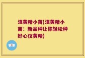 滇黄精小苗(滇黄精小苗：新品种让你轻松种好心仪黄精)