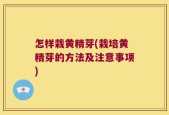 怎样栽黄精芽(栽培黄精芽的方法及注意事项)