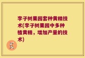 李子树果园套种黄精技术(李子树果园中多种植黄精，增加产量的技术)