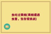 虫吃过黄精(黄精遭遇虫害，生存受挑战)