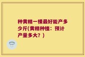 种黄精一棵最好能产多少斤(黄精种植：预计产量多大？)