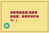 地黄黄精桑葚(地黄黄精桑葚：拯救肝肾护身气！)