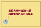 玉竹黄精种植(玉竹黄精种植技巧与方法分享)