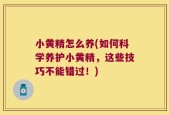 小黄精怎么养(如何科学养护小黄精，这些技巧不能错过！)