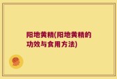 阳地黄精(阳地黄精的功效与食用方法)