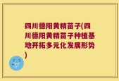 四川德阳黄精苗子(四川德阳黄精苗子种植基地开拓多元化发展形势)