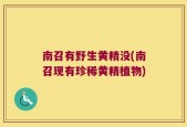 南召有野生黄精没(南召现有珍稀黄精植物)