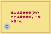 武穴滇黄精种苗(武穴出产滇黄精种苗，一株仅售5元)
