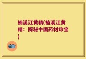 楠溪江黄精(楠溪江黄精：探秘中国药材珍宝)