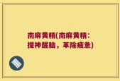 南麻黄精(南麻黄精：提神醒脑，革除疲惫)