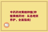 中药药材黄精种植(种植黄精药材：从选地到养护，全面指南)