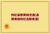 枸杞桑椹黄精泡酒(桑椹黄精枸杞自酿美酒)