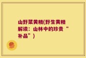 山野菜黄精(野生黄精解读：山林中的珍贵“补品”)