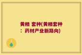 黄精 套种(黄精套种：药材产业新路向)