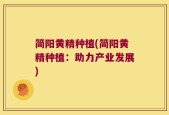 简阳黄精种植(简阳黄精种植：助力产业发展)