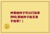 种黄精种子可以打除草剂吗(黄精种子能否用于除草？)