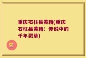 重庆石柱县黄精(重庆石柱县黄精：传说中的千年灵草)