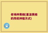 老场种黄精(重温黄精的传统种植方式)