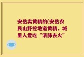 安岳卖黄精的(安岳农民山野挖地道黄精，城里人爱吃“清肺去火”