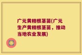 广元黄精根茎苗(广元生产黄精根茎苗，推动当地农业发展)