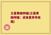 立夏黄精种植(立夏黄精种植：迎来夏季丰收期)