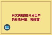 兴义黄精苗(兴义出产的珍贵种苗：黄精苗)