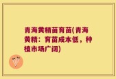 青海黄精苗育苗(青海黄精：育苗成本低，种植市场广阔)