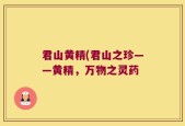 君山黄精(君山之珍——黄精，万物之灵药