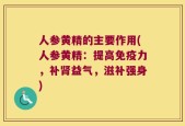 人参黄精的主要作用(人参黄精：提高免疫力，补肾益气，滋补强身)