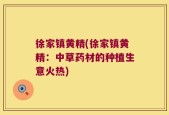 徐家镇黄精(徐家镇黄精：中草药材的种植生意火热)