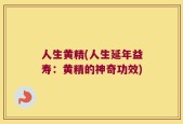 人生黄精(人生延年益寿：黄精的神奇功效)