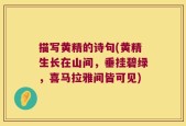 描写黄精的诗句(黄精生长在山间，垂挂碧绿，喜马拉雅间皆可见)