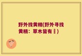 野外找黄精(野外寻找黄精：草木皆有靈)