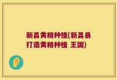 新昌黄精种植(新昌县打造黄精种植 王国)