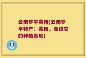 云南罗平黄精(云南罗平特产：黄精，走进它的种植基地)