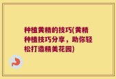种植黄精的技巧(黄精种植技巧分享，助你轻松打造精美花园)