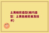 土黄精剪造型(精巧造型：土黄色精剪美发技术)